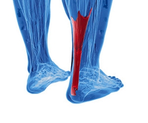 How Can an Achilles Tendon Injury Occur?